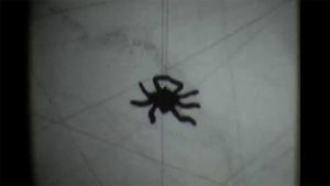 Arachné - Bobines de Femme